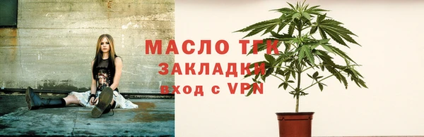 индика Абаза