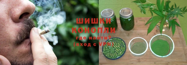 индика Абаза