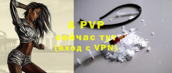 винт Алзамай
