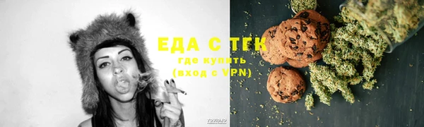 индика Абаза