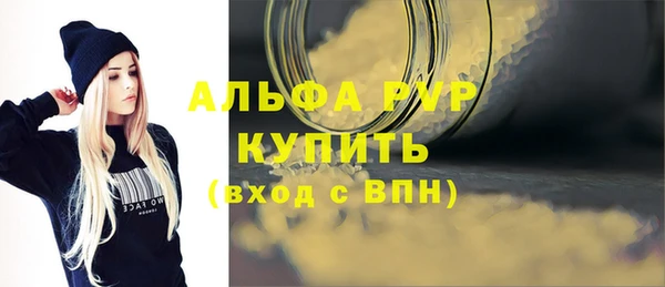 индика Абаза