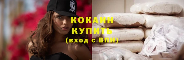 индика Абаза