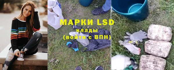 индика Абаза