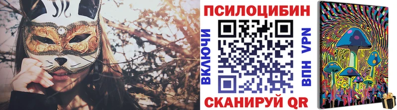 сколько стоит  Каменногорск  Галлюциногенные грибы Cubensis 